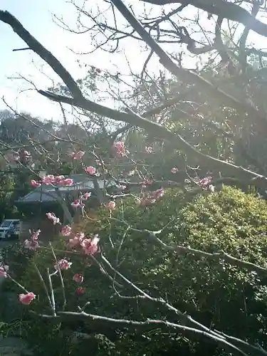 浄光明寺の自然