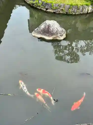 菅原天満宮（菅原神社）(奈良県)