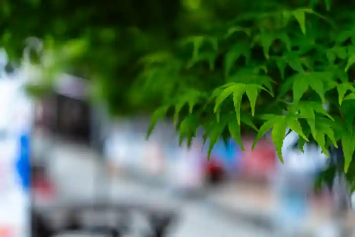 諏訪大社(長野県)