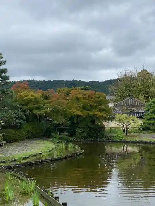 梅宮大社(京都府)
