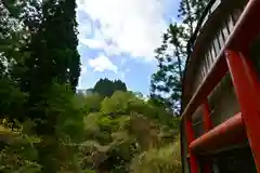 髙龍神社 中社(新潟県)