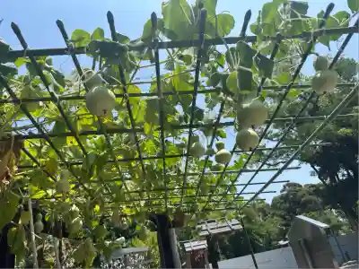 豊國神社(愛知県)