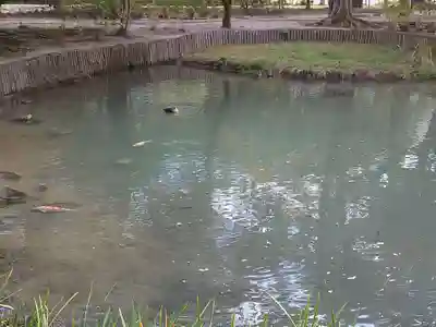 出雲大社(島根県)