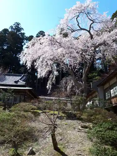 瑞巌寺の庭園