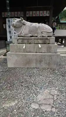 矢奈比賣神社(見付天神)の狛犬
