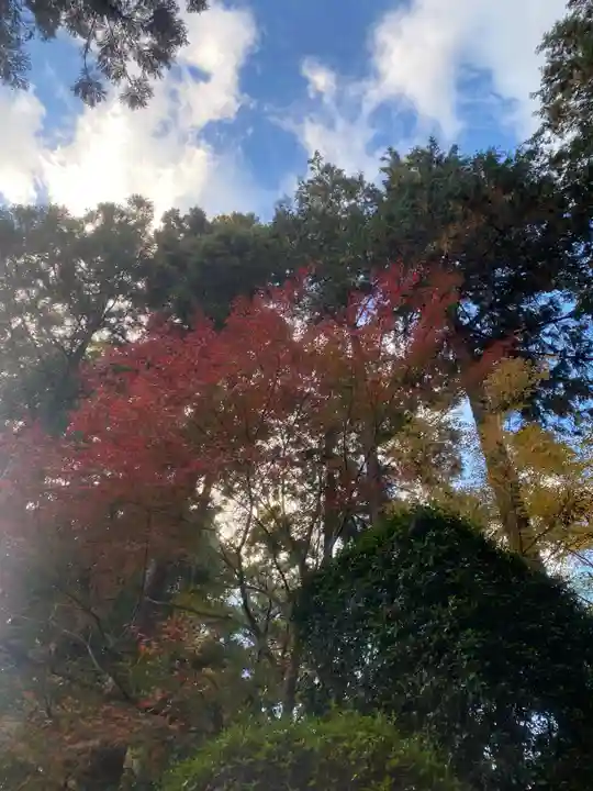 龍潭寺(静岡県)