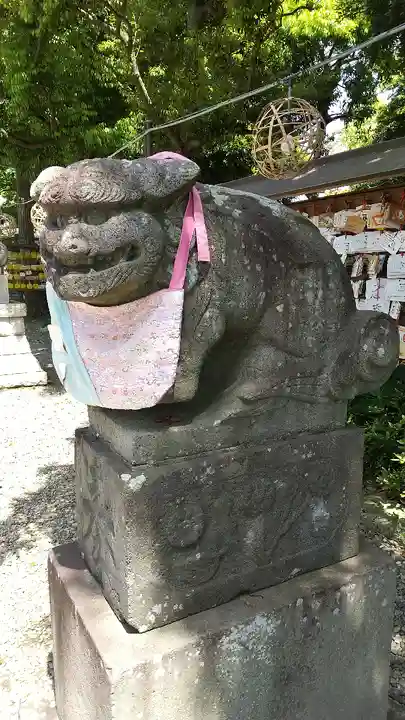 菊田神社の狛犬