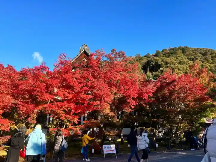禅林寺(永観堂)(京都府)