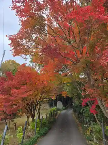 世尊寺(愛知県)