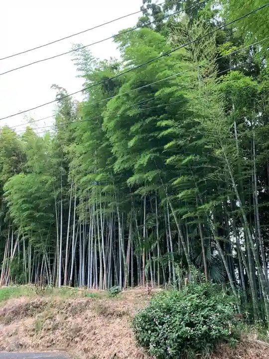 諏訪神社の自然