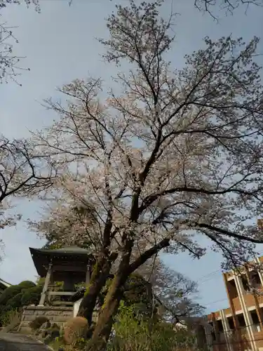 法華寺のその他建物