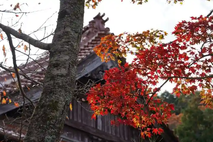 来迎寺(山口県)