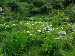 極楽寺(静岡県)