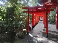 來宮神社(静岡県)