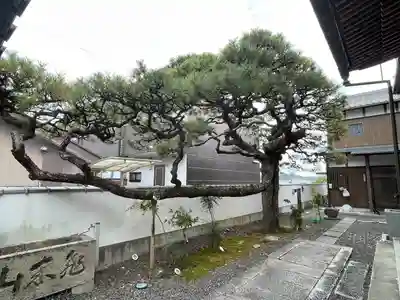 浄蓮寺(三重県)