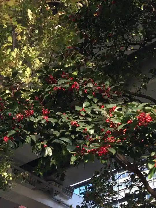 金刀比羅宮東京分社の自然