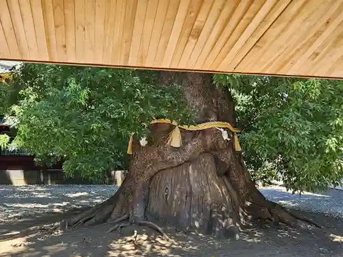 上野東照宮(東京都)