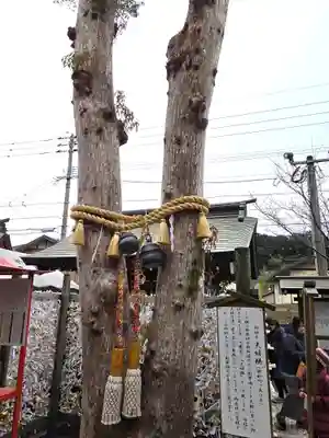 天之御中主神社(鹿児島県)