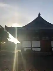 東寺（教王護国寺）の本殿