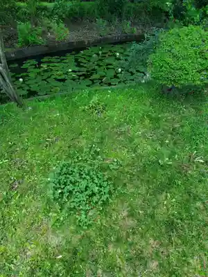 丸山弁財天神社の庭園