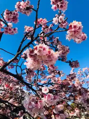 西新井大師総持寺の自然