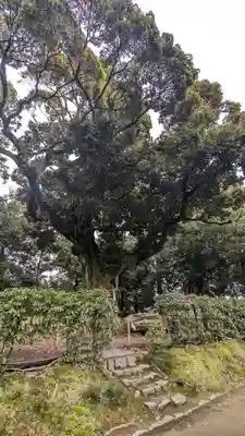 新日吉神宮(京都府)