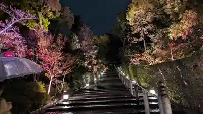 知恩院(京都府)