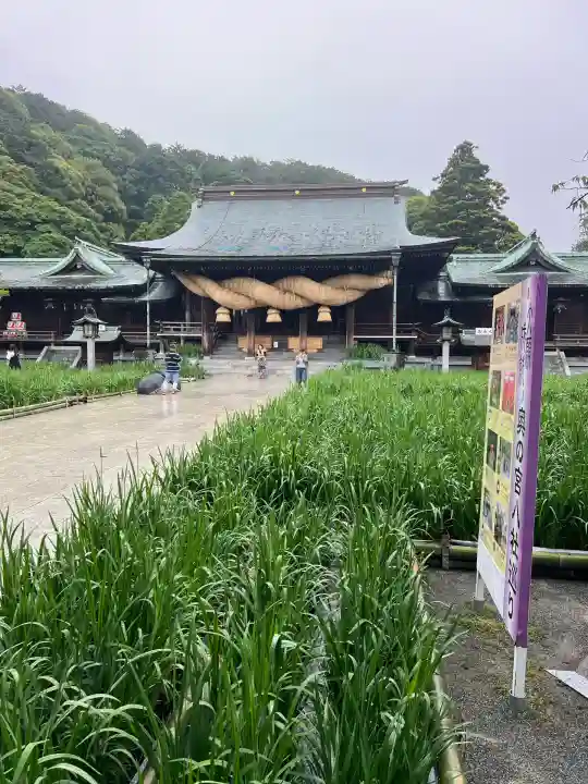 宮地嶽神社(福岡県)