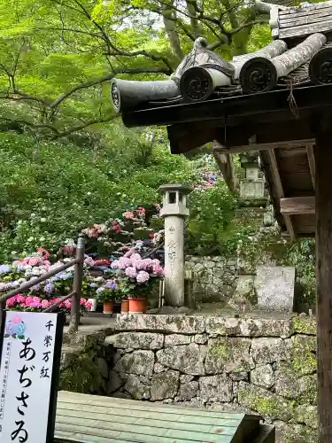 長谷寺(奈良県)