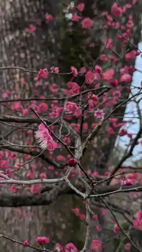 北野天満宮(京都府)