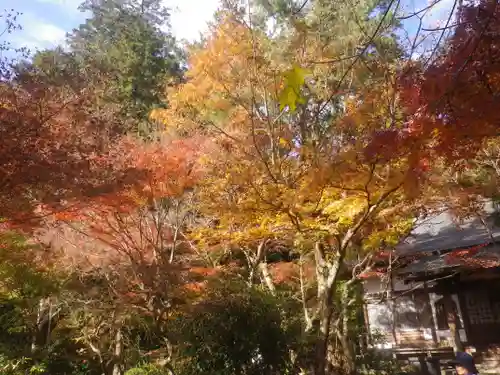 覚園寺の景色