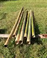 国宝 大法寺のその他建物