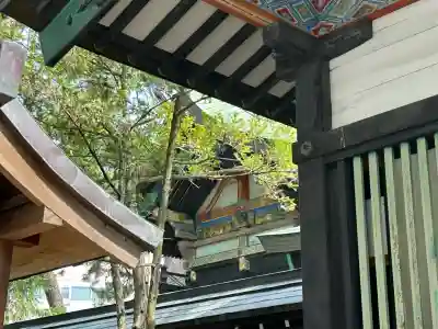白山神社(新潟県)