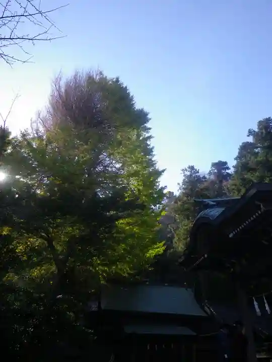 御霊神社の自然