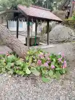 船魂神社の{uncategorized: "未分類", other: "その他", undefined: "問題あり", building: "その他建物", grave: "お墓", sacred_gate: "鳥居", guardian: "狛犬", statue: "像", buddha: "仏像", history: "歴史", nature: "自然", garden: "庭園", animal: "動物", pagoda: "塔", temizu: "手水舎", mountain_gate: "山門・神門", sanctuary: "本殿・本堂", subordinate: "末社・摂社", art: "芸術", scenery: "景色", jizo: "地蔵", ema: "絵馬", goshuin: "御朱印", omikuji: "おみくじ", items: "授与品その他", amulet: "お守り", goshuincho: "御朱印帳", eats: "食事", festival: "お祭り", votive_dance: "神楽", shichigosan: "七五三参", wedding: "結婚式", experience: "体験その他", initially: "初詣", around: "周辺", anti_infection: "感染症対策"}
