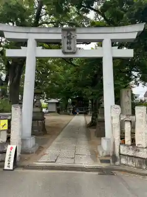 八幡橋八幡神社の{uncategorized: "未分類", other: "その他", undefined: "問題あり", building: "その他建物", grave: "お墓", sacred_gate: "鳥居", guardian: "狛犬", statue: "像", buddha: "仏像", history: "歴史", nature: "自然", garden: "庭園", animal: "動物", pagoda: "塔", temizu: "手水舎", mountain_gate: "山門・神門", sanctuary: "本殿・本堂", subordinate: "末社・摂社", art: "芸術", scenery: "景色", jizo: "地蔵", ema: "絵馬", goshuin: "御朱印", omikuji: "おみくじ", items: "授与品その他", amulet: "お守り", goshuincho: "御朱印帳", eats: "食事", festival: "お祭り", votive_dance: "神楽", shichigosan: "七五三参", wedding: "結婚式", experience: "体験その他", initially: "初詣", around: "周辺", anti_infection: "感染症対策"}