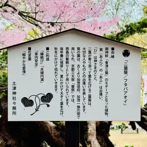 土津神社｜こどもと出世の神さま(福島県)