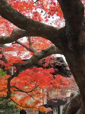 鎌倉宮(神奈川県)