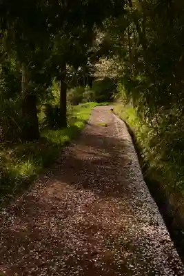 熊野神社(愛媛県)