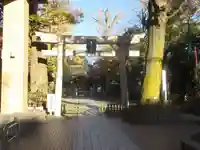 亀岡八幡宮(亀岡八幡神社)の鳥居