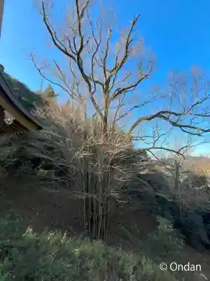 正法寺(滋賀県)
