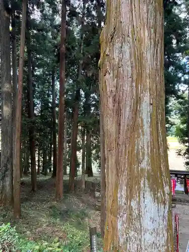 大宮温泉神社の自然