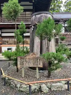 伊太祁曽神社(和歌山県)