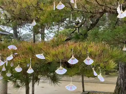 智恩寺(京都府)