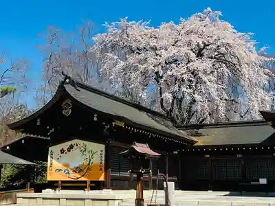 長野縣護國神社(長野県)