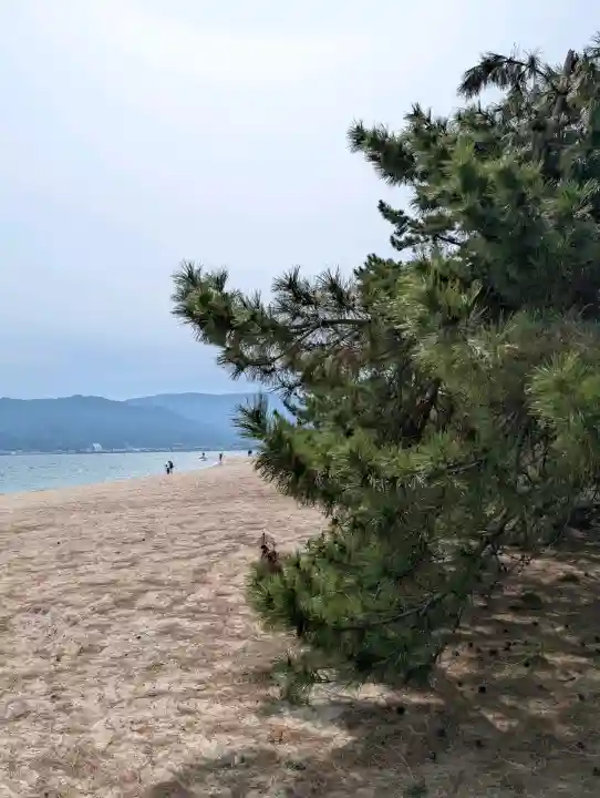 天橋立神社の{uncategorized: "未分類", other: "その他", undefined: "問題あり", building: "その他建物", grave: "お墓", sacred_gate: "鳥居", guardian: "狛犬", statue: "像", buddha: "仏像", history: "歴史", nature: "自然", garden: "庭園", animal: "動物", pagoda: "塔", temizu: "手水舎", mountain_gate: "山門・神門", sanctuary: "本殿・本堂", subordinate: "末社・摂社", art: "芸術", scenery: "景色", jizo: "地蔵", ema: "絵馬", goshuin: "御朱印", omikuji: "おみくじ", items: "授与品その他", amulet: "お守り", goshuincho: "御朱印帳", eats: "食事", festival: "お祭り", votive_dance: "神楽", shichigosan: "七五三参", wedding: "結婚式", experience: "体験その他", initially: "初詣", around: "周辺", anti_infection: "感染症対策"}