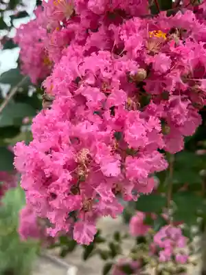 多田幸寺の自然