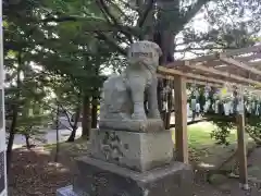 亀田八幡宮の狛犬