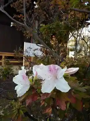 佛蔵院の末社・摂社