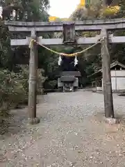 瀧神社（都農神社末社（奥宮））(宮崎県)